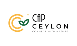 Untitled design2 300x180 1