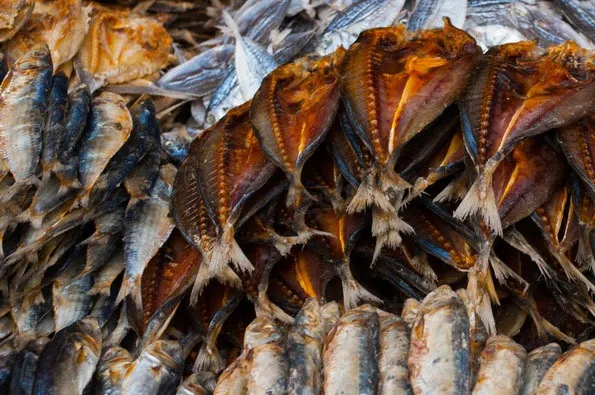 WhatsApp Image 2025 03 12 at 15